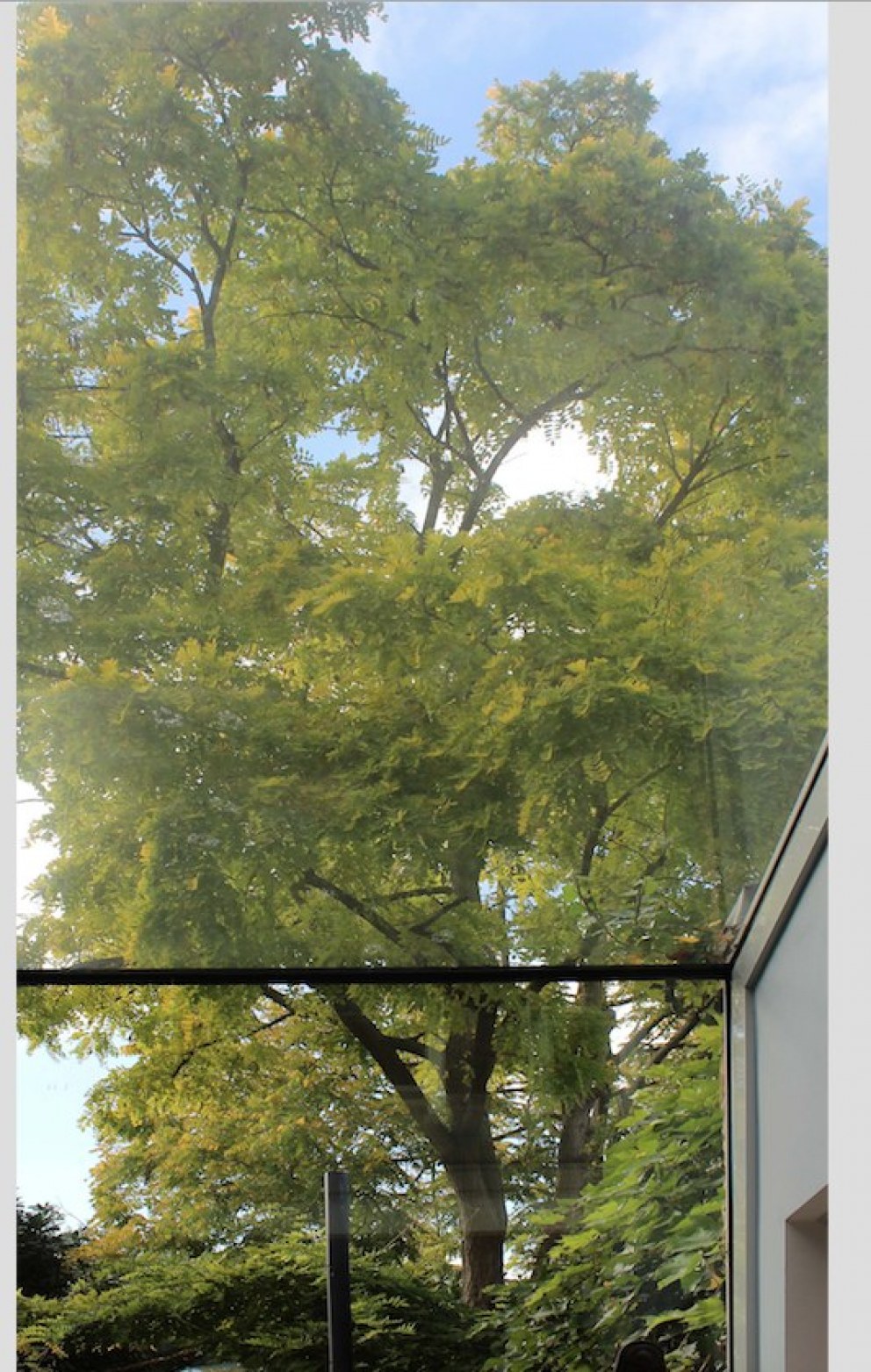 Garden flat extension | Sky view  | Interior Designers